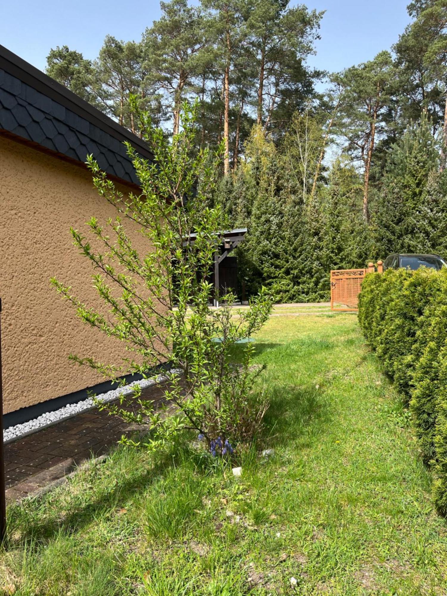 Ferienhaus Fjola Schenkendobern Kültér fotó