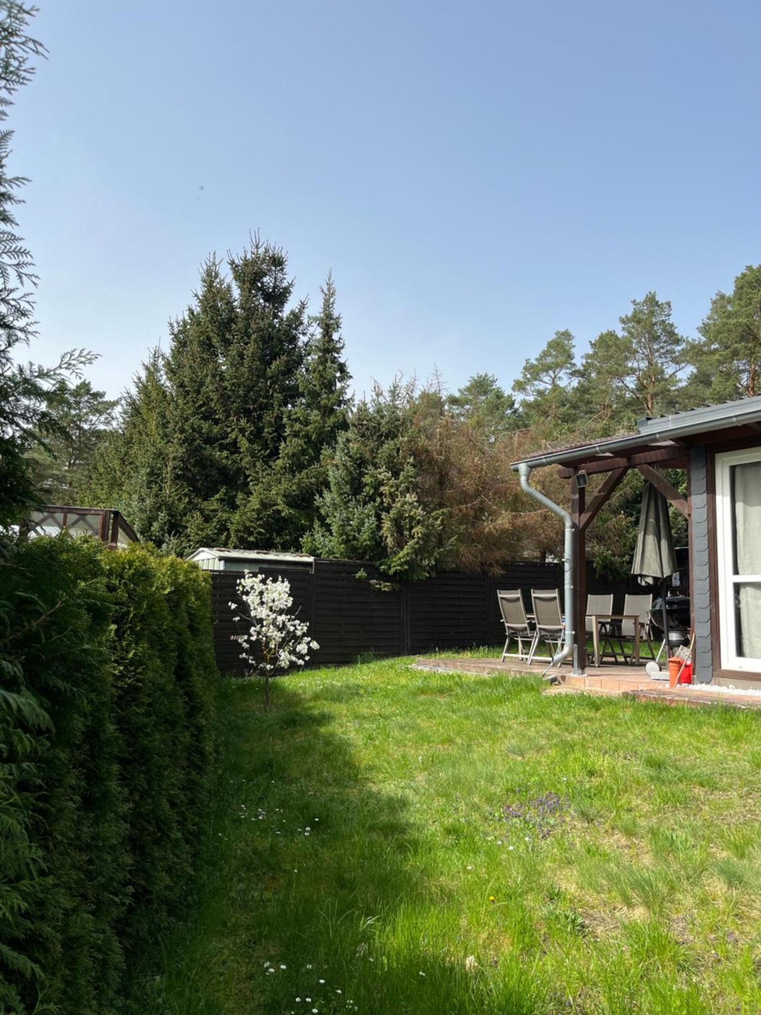 Ferienhaus Fjola Schenkendobern Kültér fotó