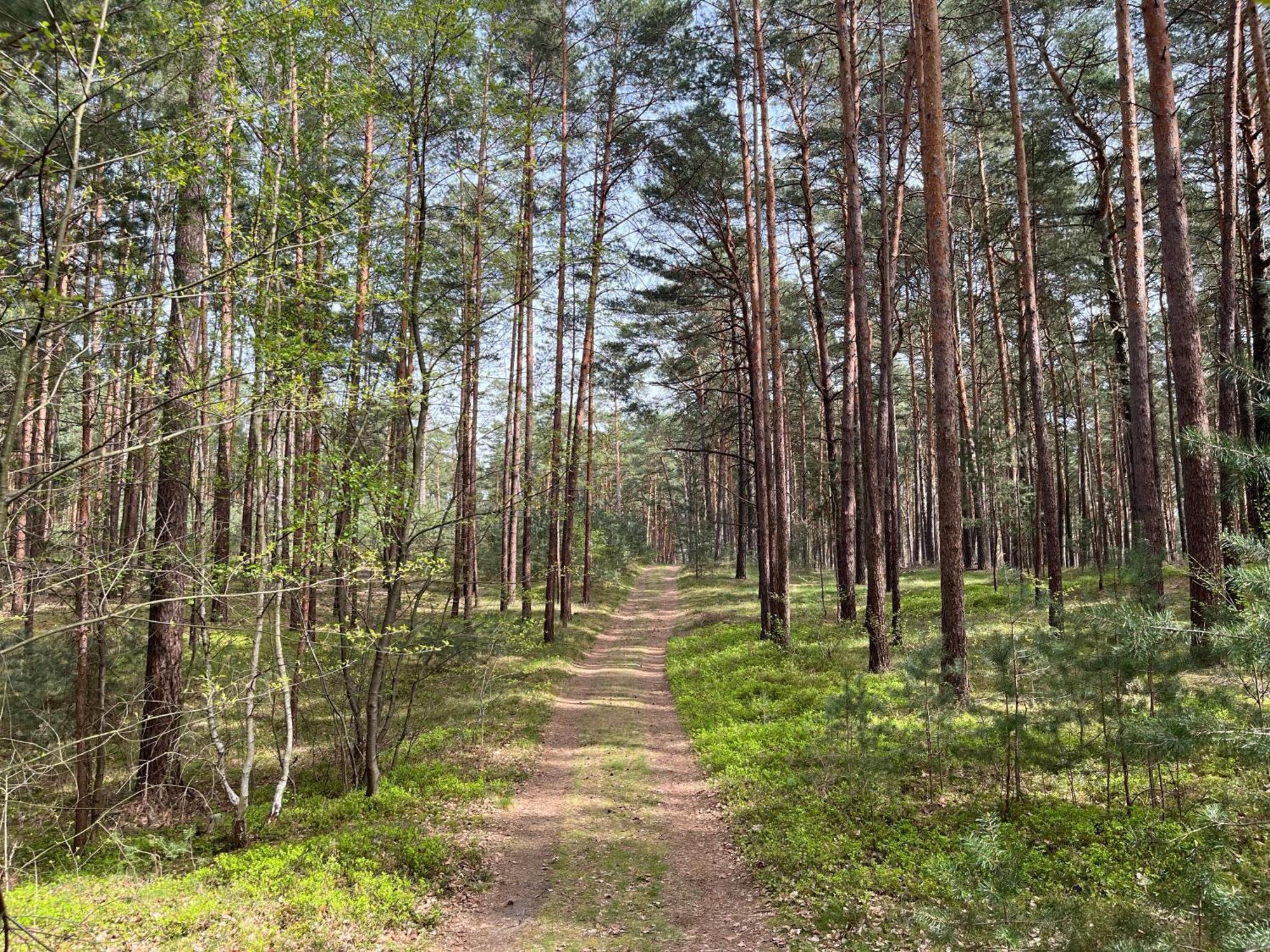 Ferienhaus Fjola Schenkendobern Kültér fotó