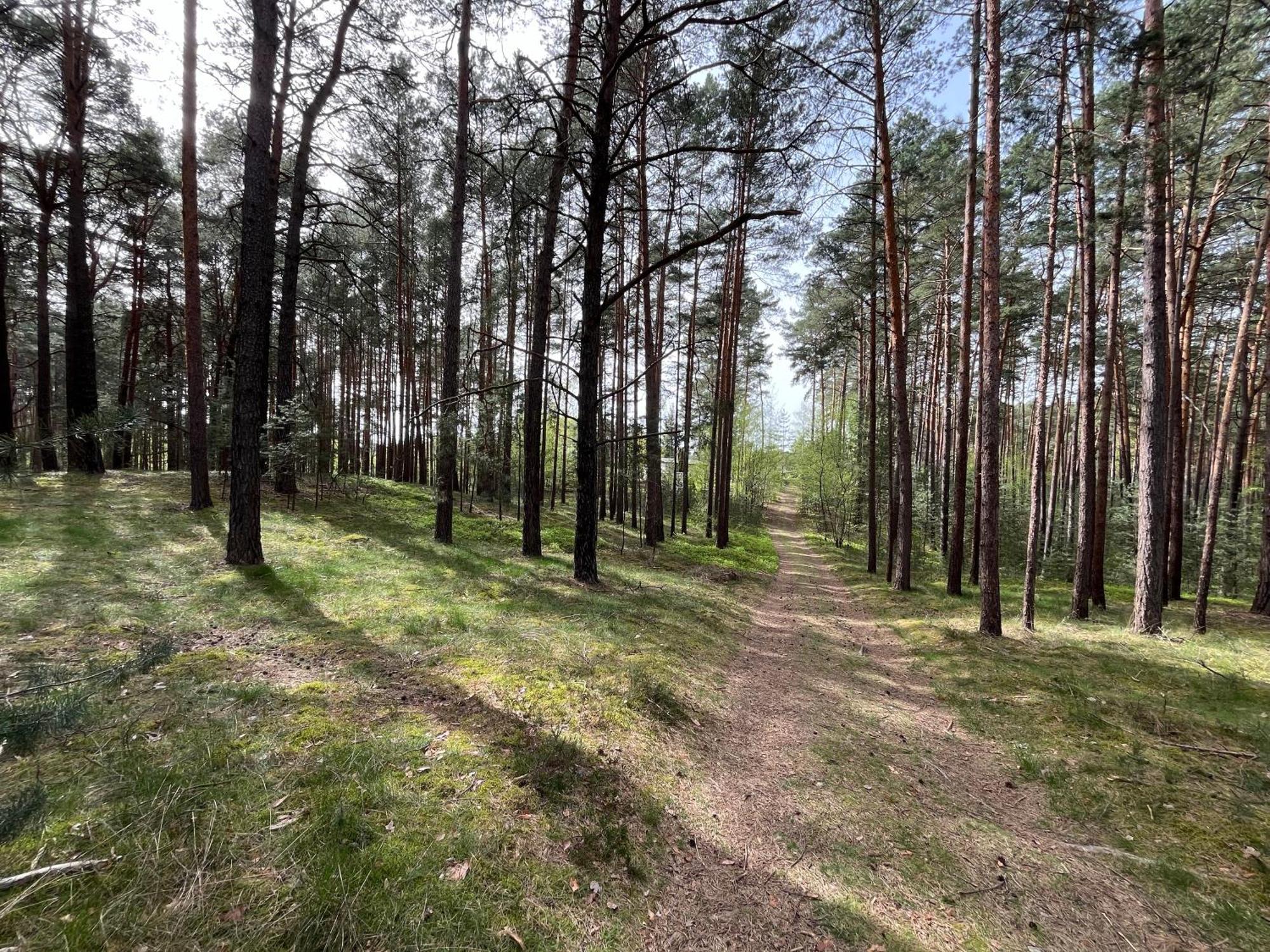 Ferienhaus Fjola Schenkendobern Kültér fotó